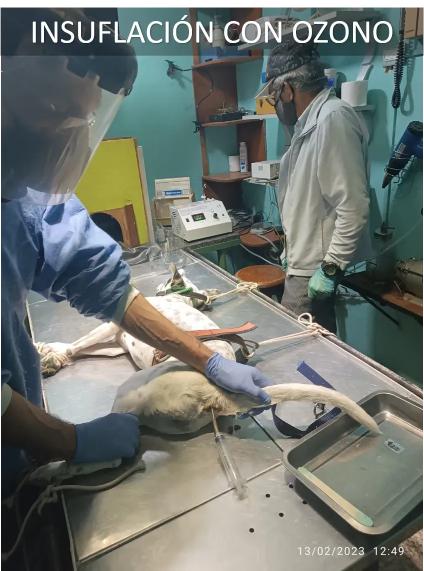 Ozonoterapia